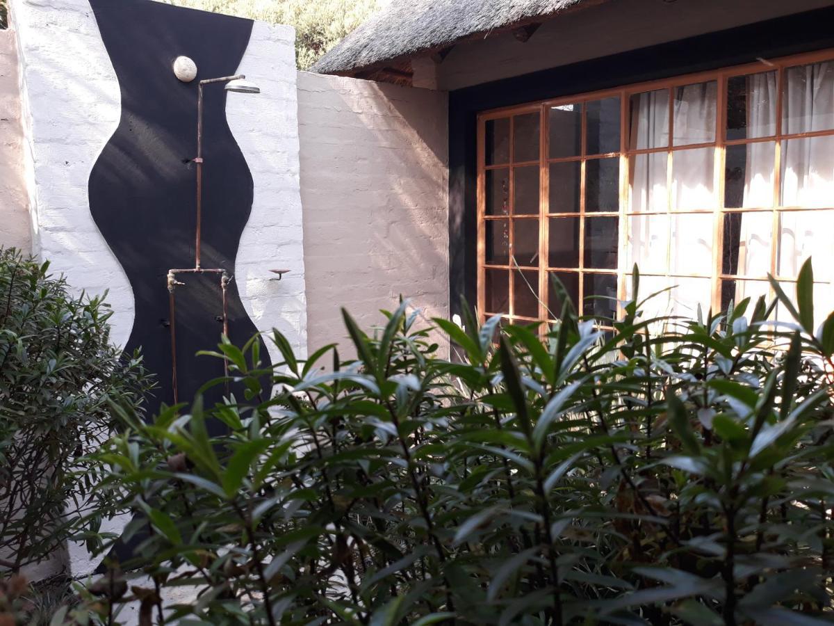African Silhouette 2* Benoni